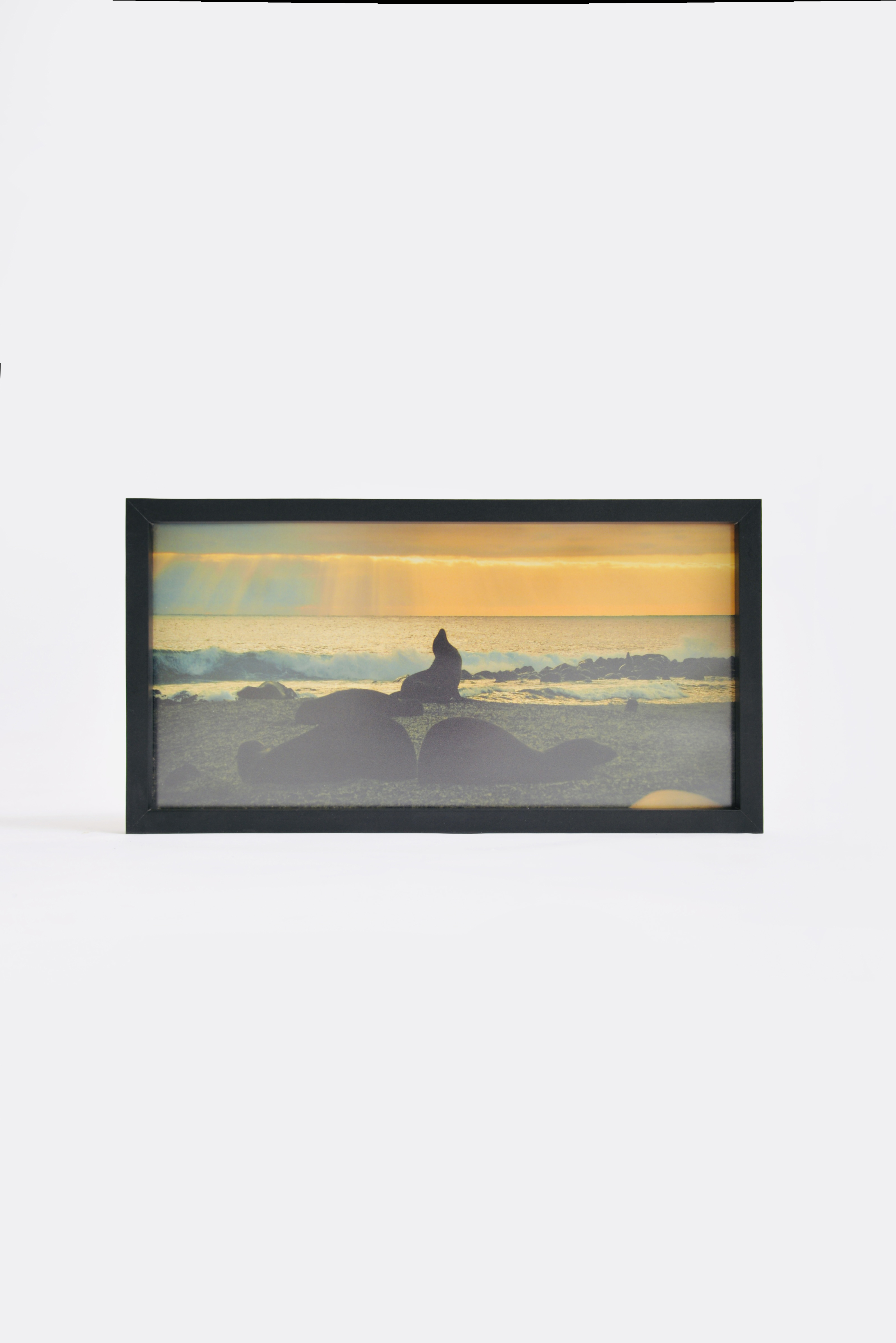 Díptico Atardecer con Lobos