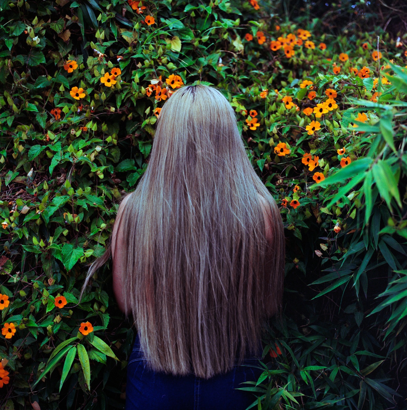 "Sin título", de la serie El jardín