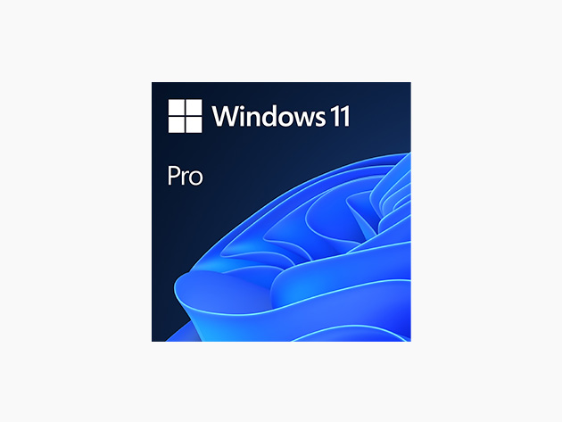 Windows 11 Pro