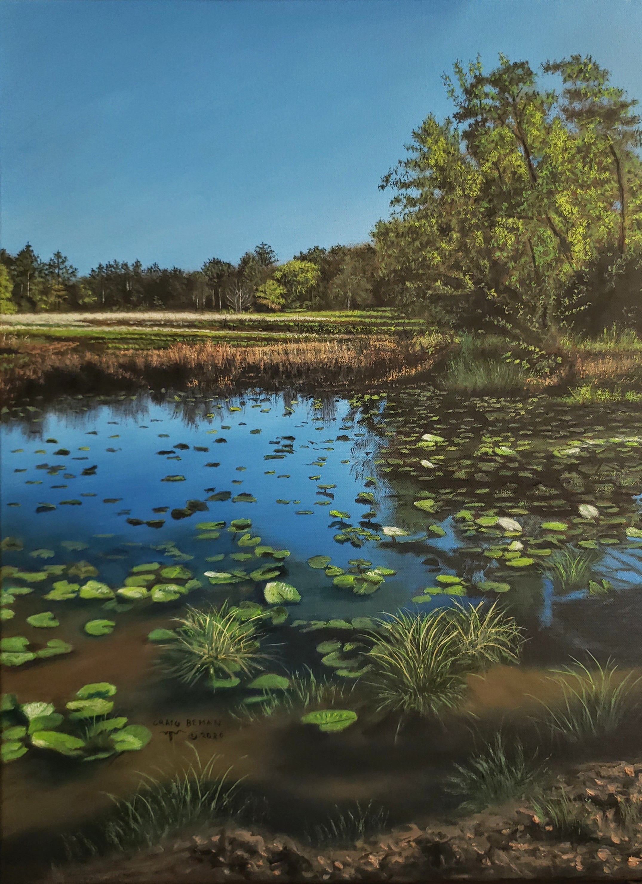 Water Lilies Original Oil on Canvas