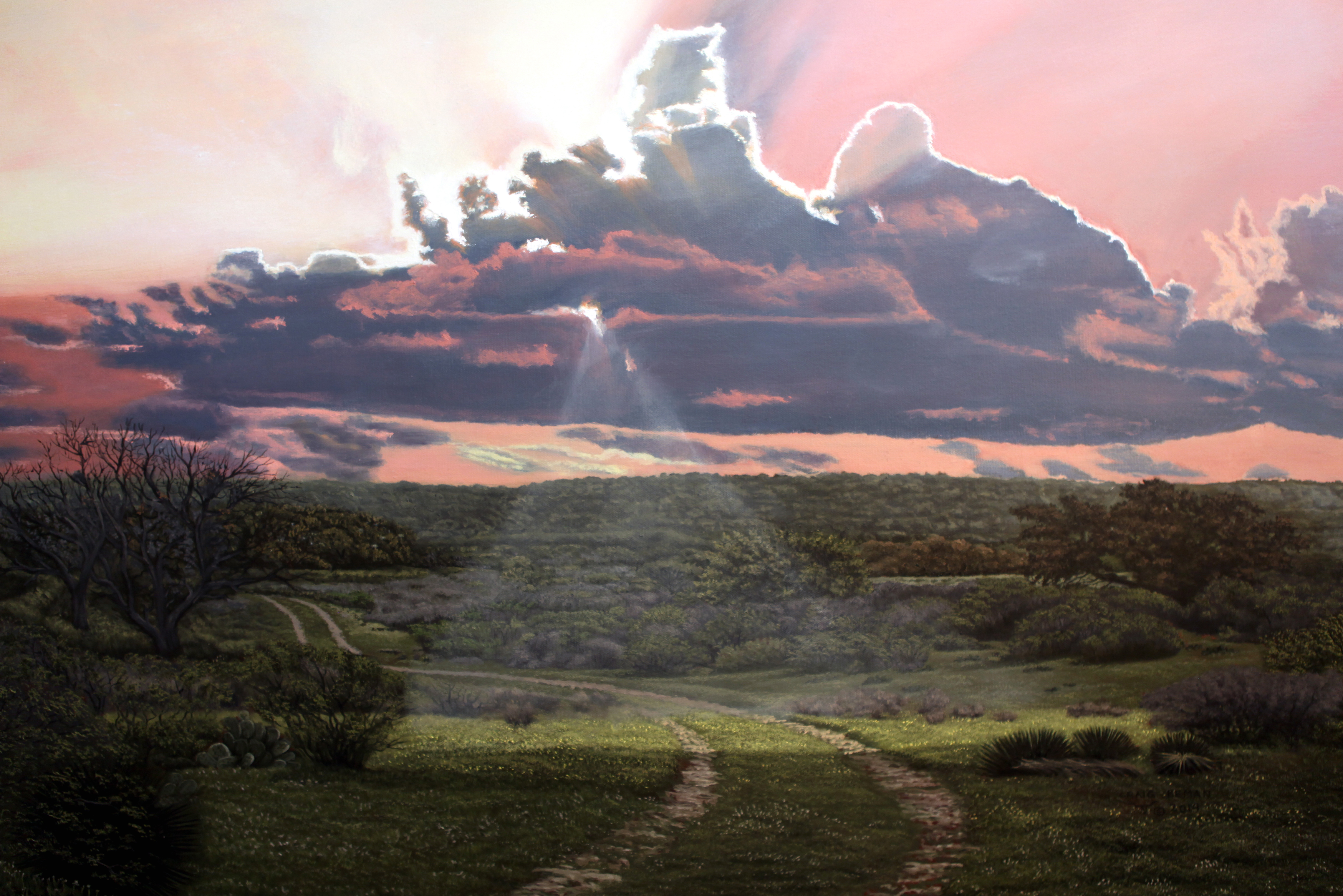 Where There Is Light Original Oil on Canvas