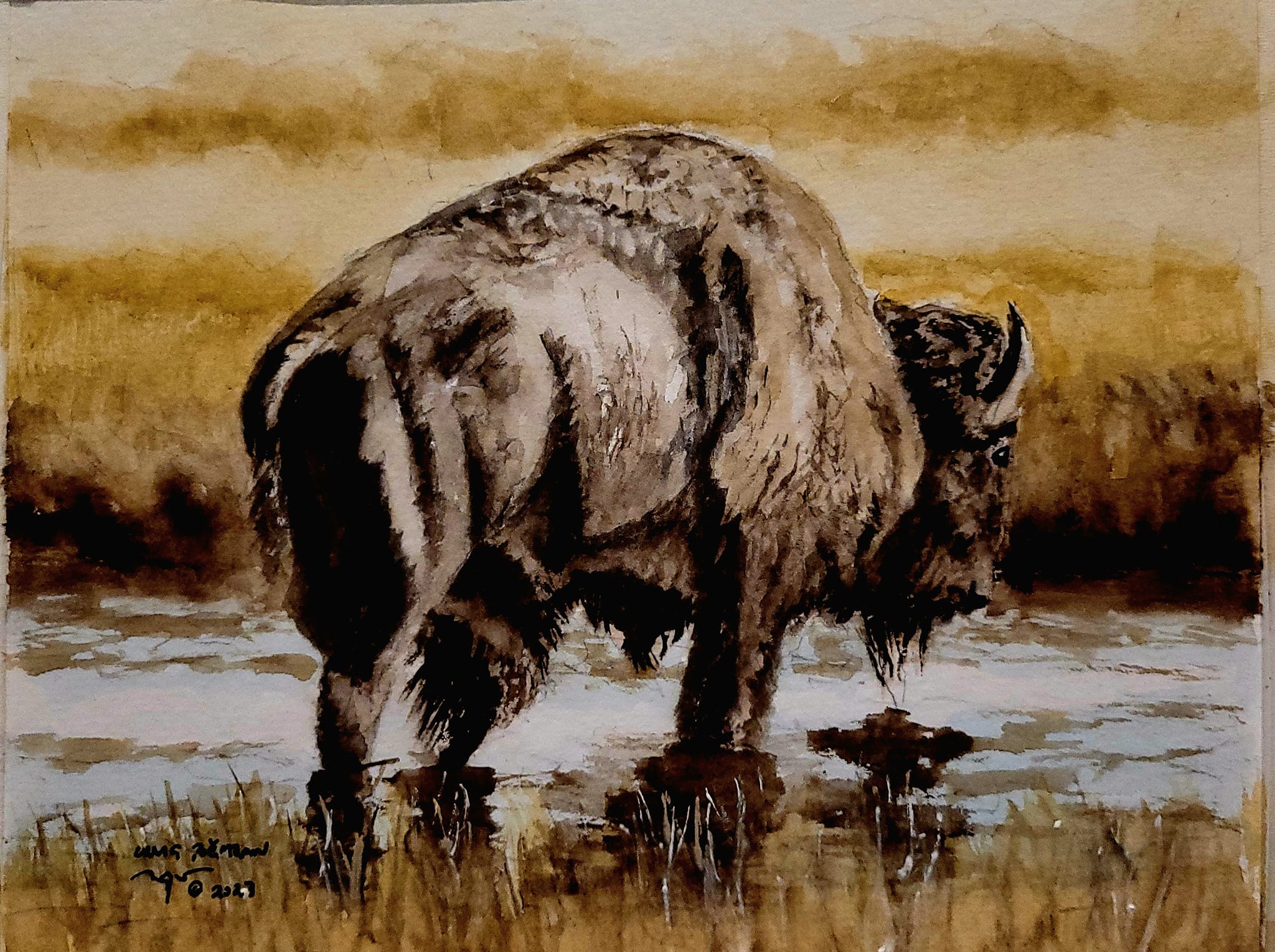 Tatanka Original Watercolor Painting