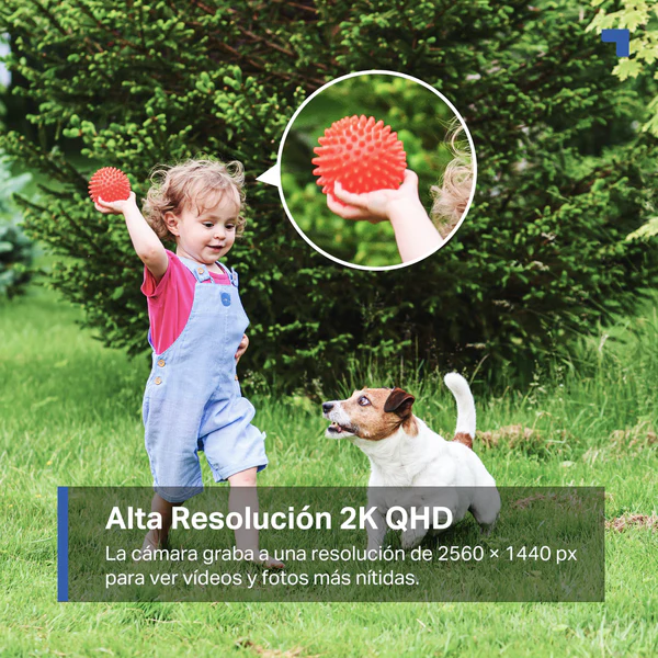 Tapo C425 Kit - Cámara de Vigilancia Wi-Fi con Batería y Panel Solar, Detección Inteligente, 2K QHD