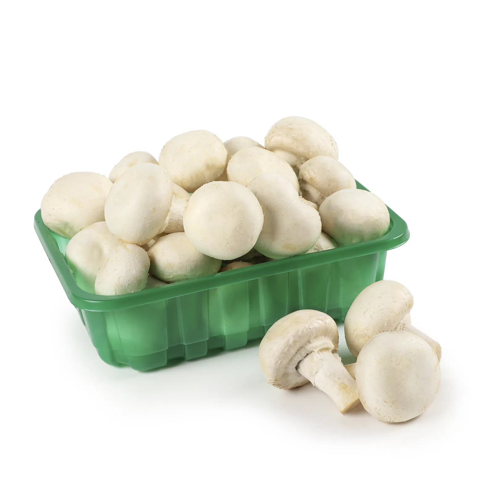 White Button Mushroom