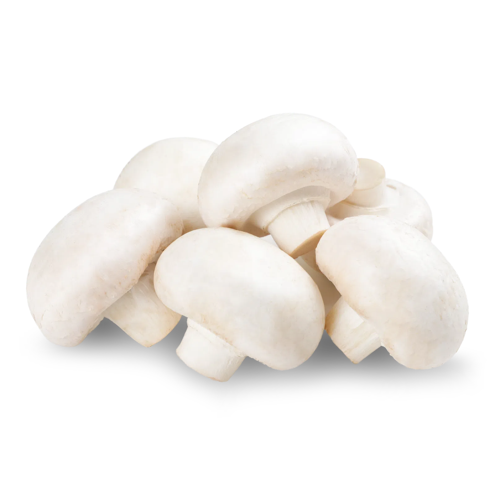 White Button Mushroom