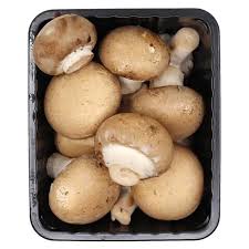Brown Button Mushroom