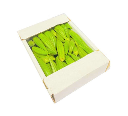 Fresh Okra