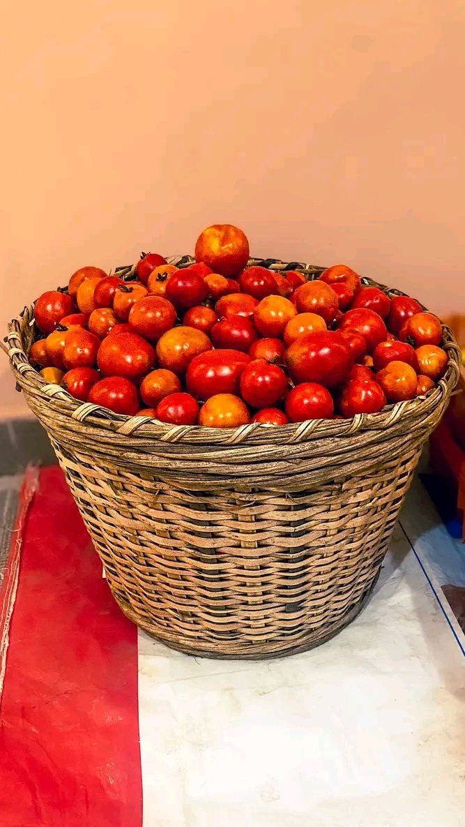 Heirloom Tomatoes (Beefsteak tomatoes)