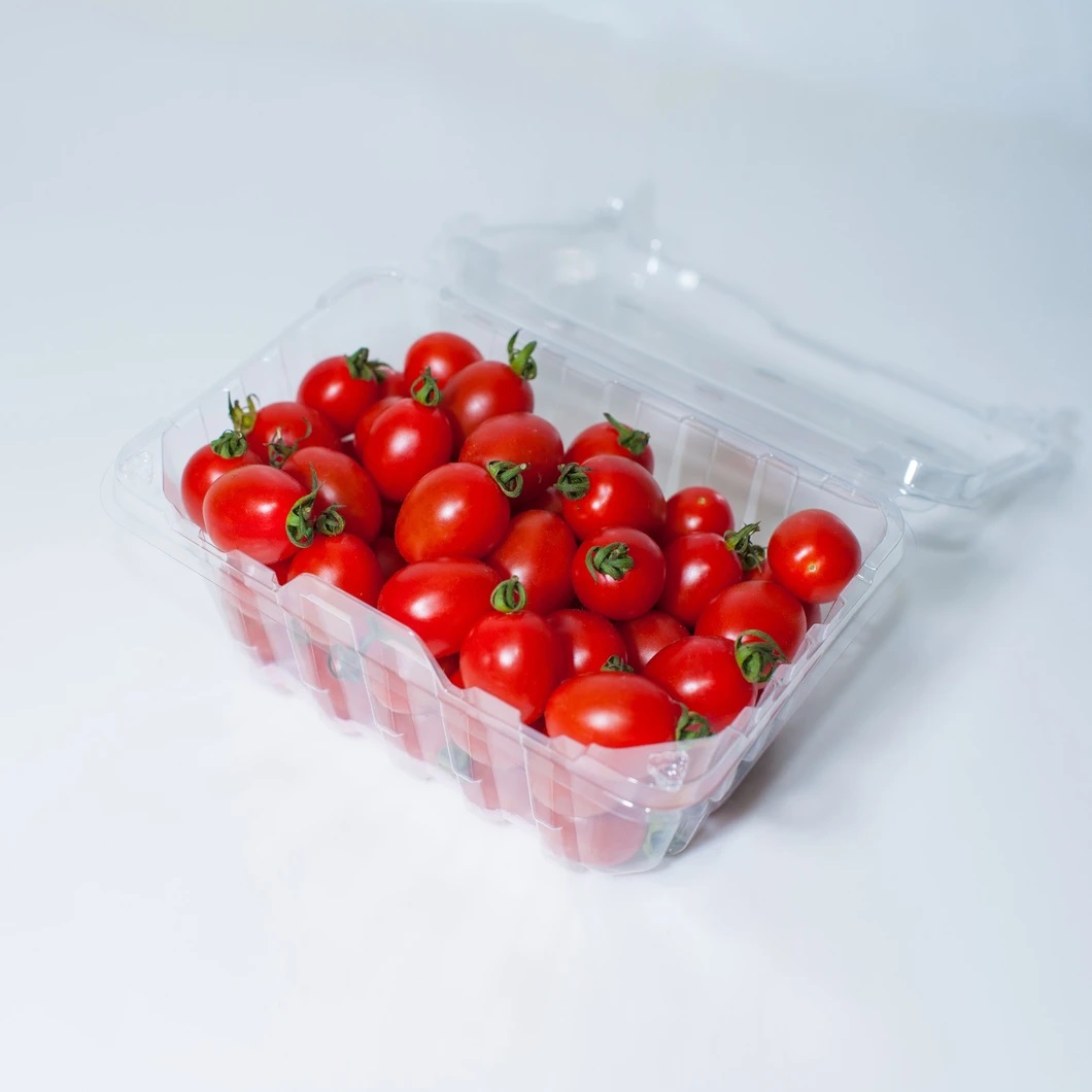 Fresh Sweet Red Cherry Tomatoes