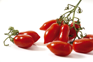 Fresh Roma Tomatoes
