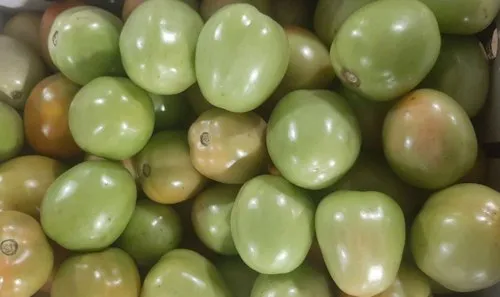 Fresh Green Tomatoes