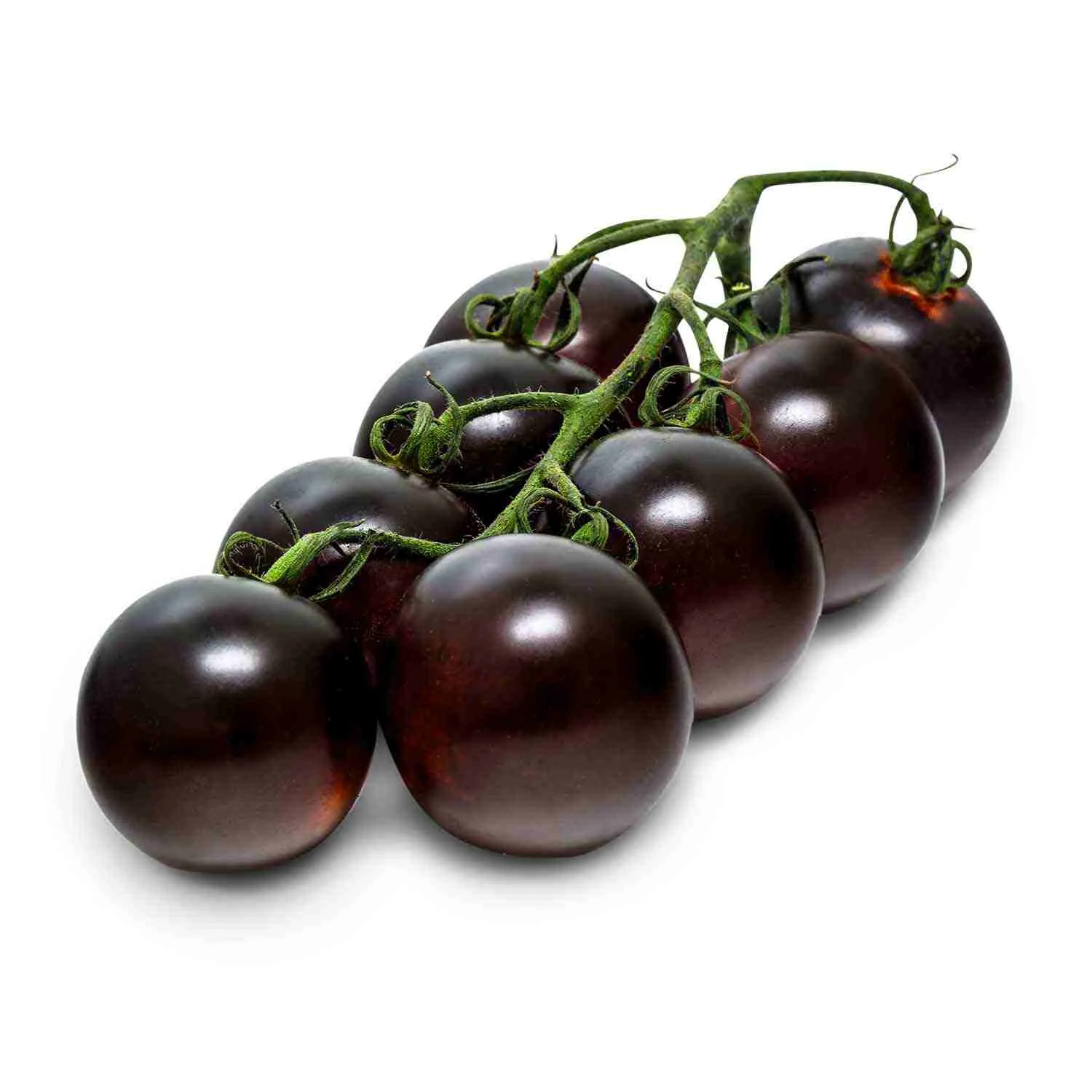 Chocolate - Indigo Rose Tomato