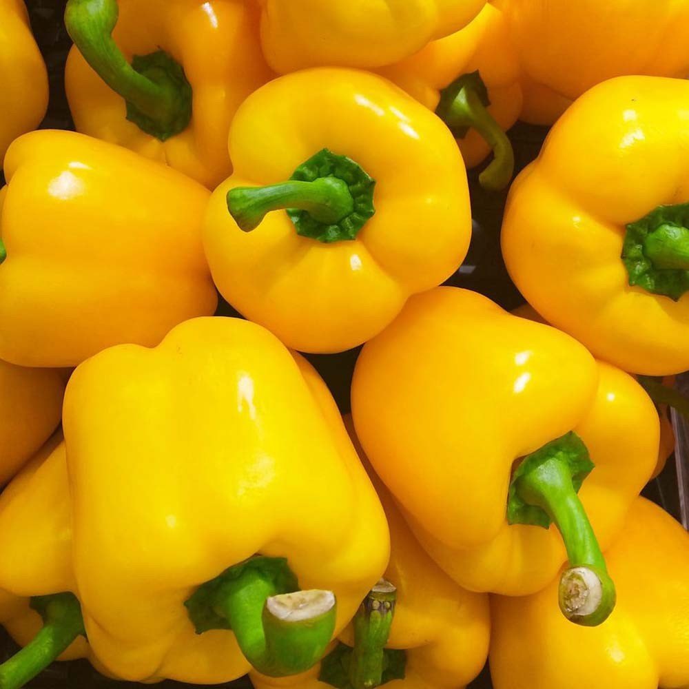 Fresh Yellow Bell Peppers