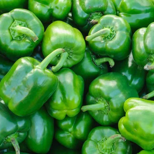 Green Bell Peppers