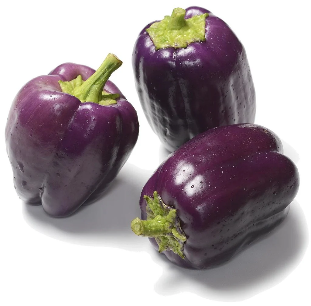 Purple Bell Pepper