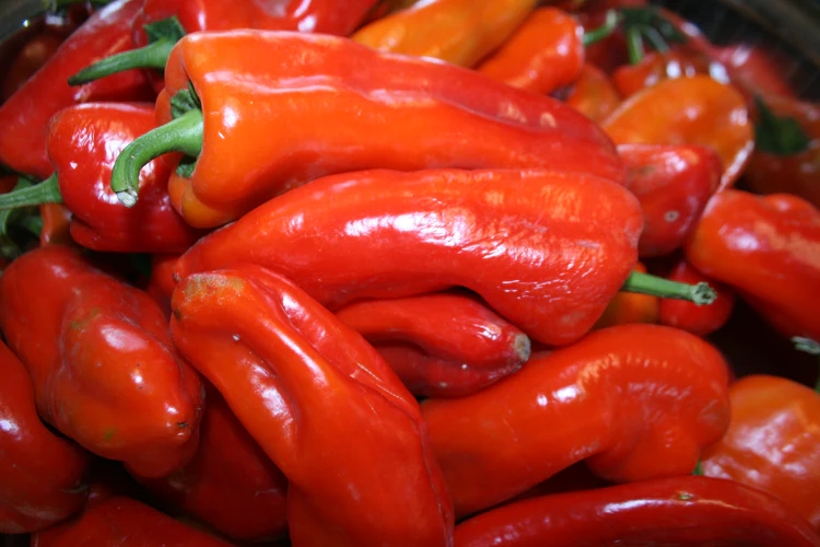 Red long Marconi Pepper
