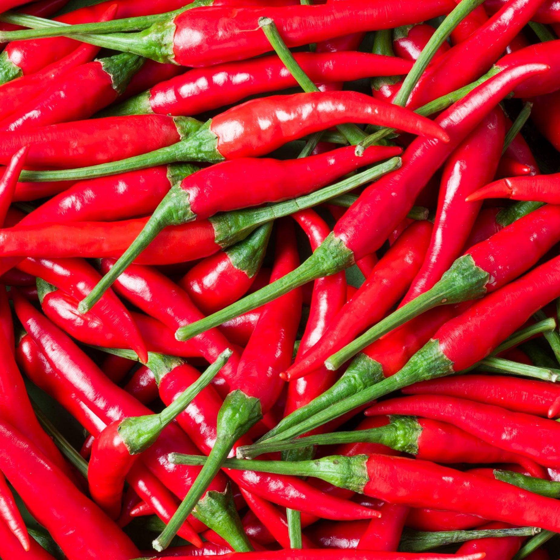 Red Chili Peppers
