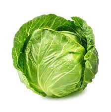Fresh White - Green Cabbage
