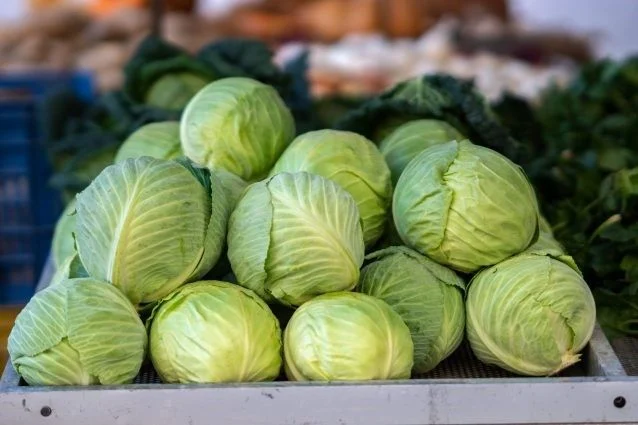 Fresh White - Green Cabbage