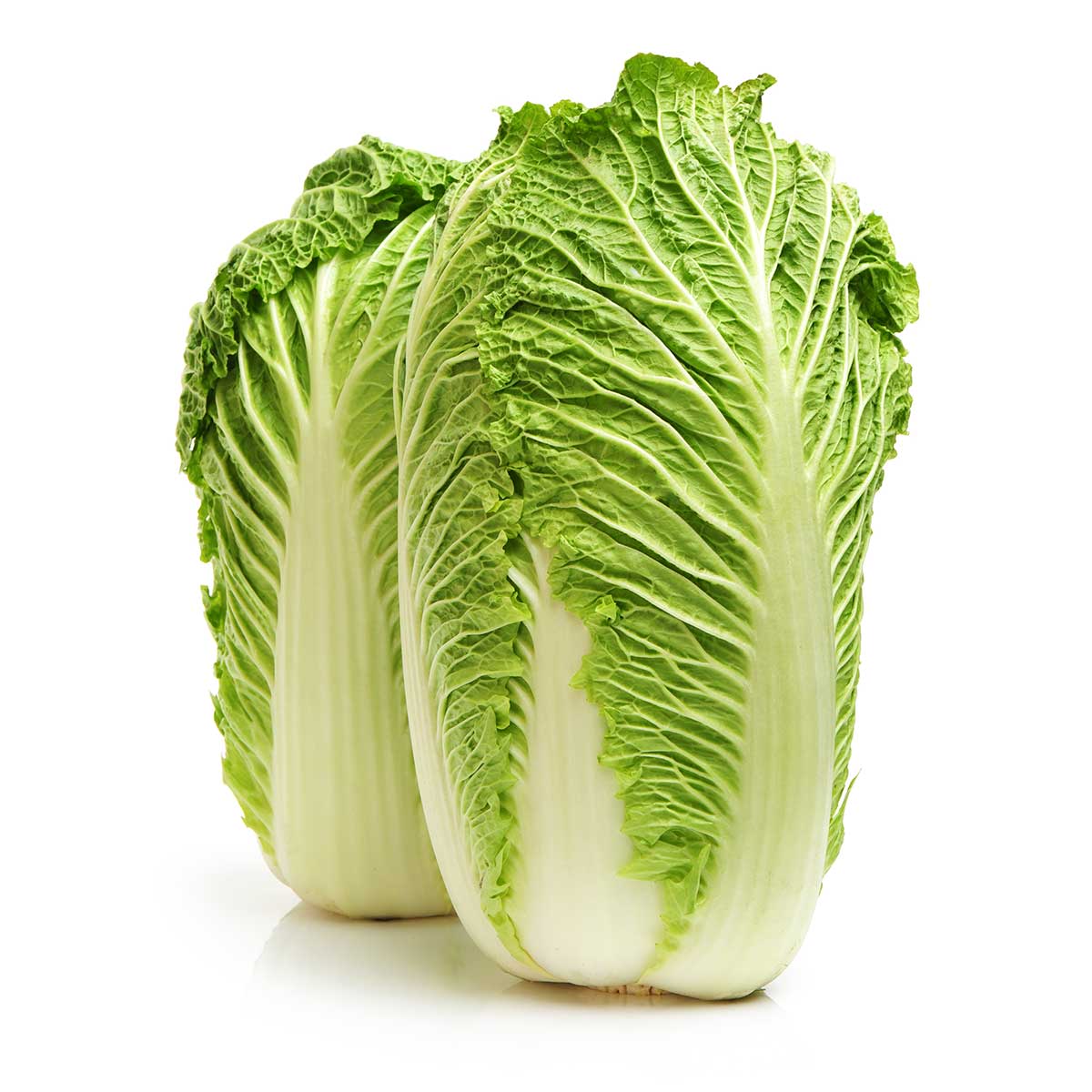 Green Napa Chinese Cabbage
