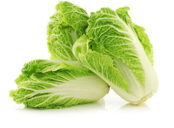 Green Napa Chinese Cabbage