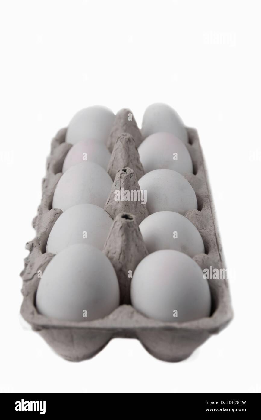 Fresh White Eggs
