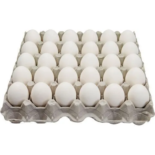 Fresh White Eggs
