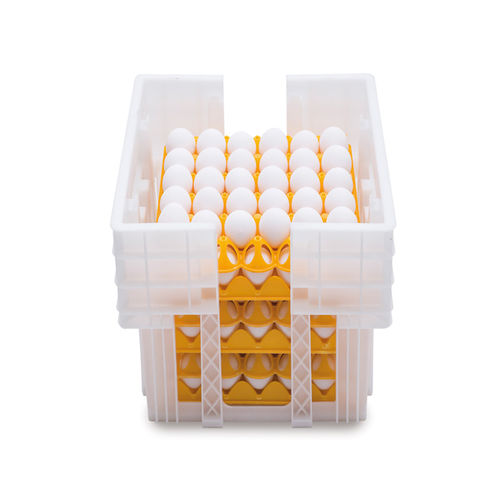 Fresh White Eggs