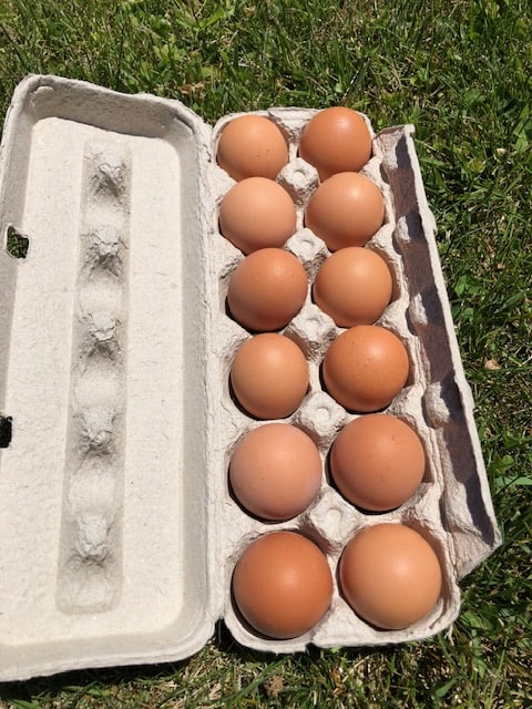 Fresh Brown Eggs
