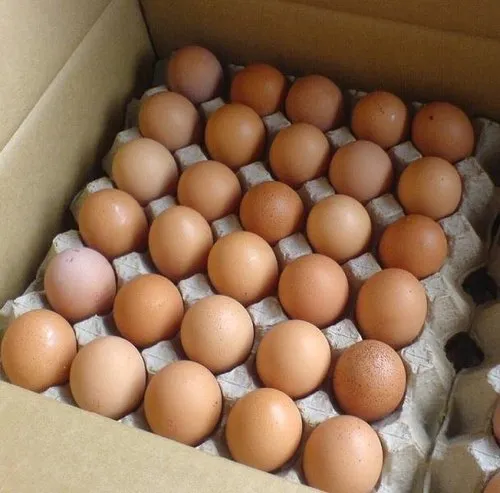 Fresh Brown Eggs