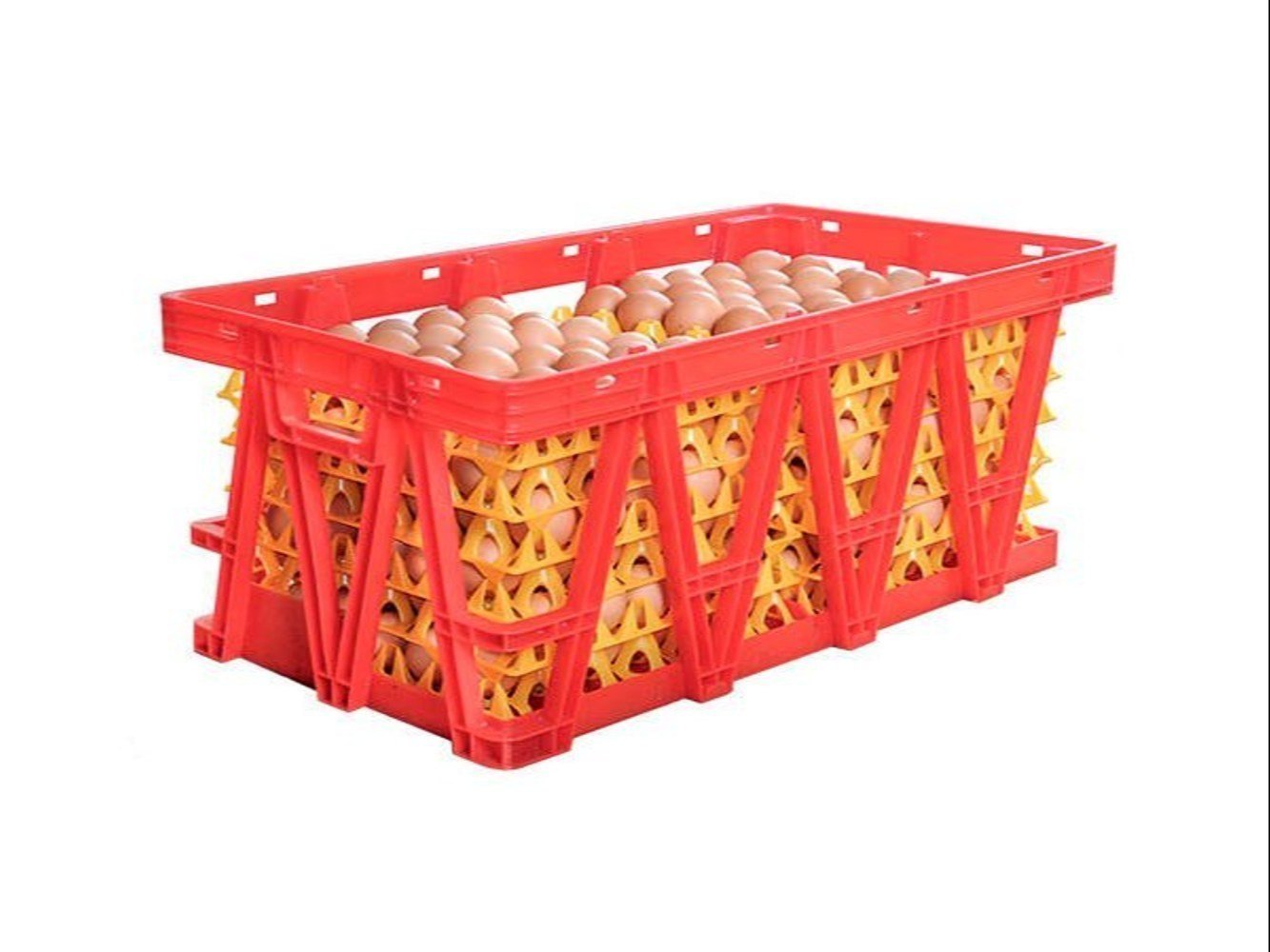 Fresh Brown Eggs