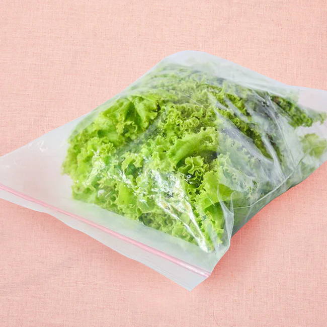 Fresh Romaine Green Lettuce
