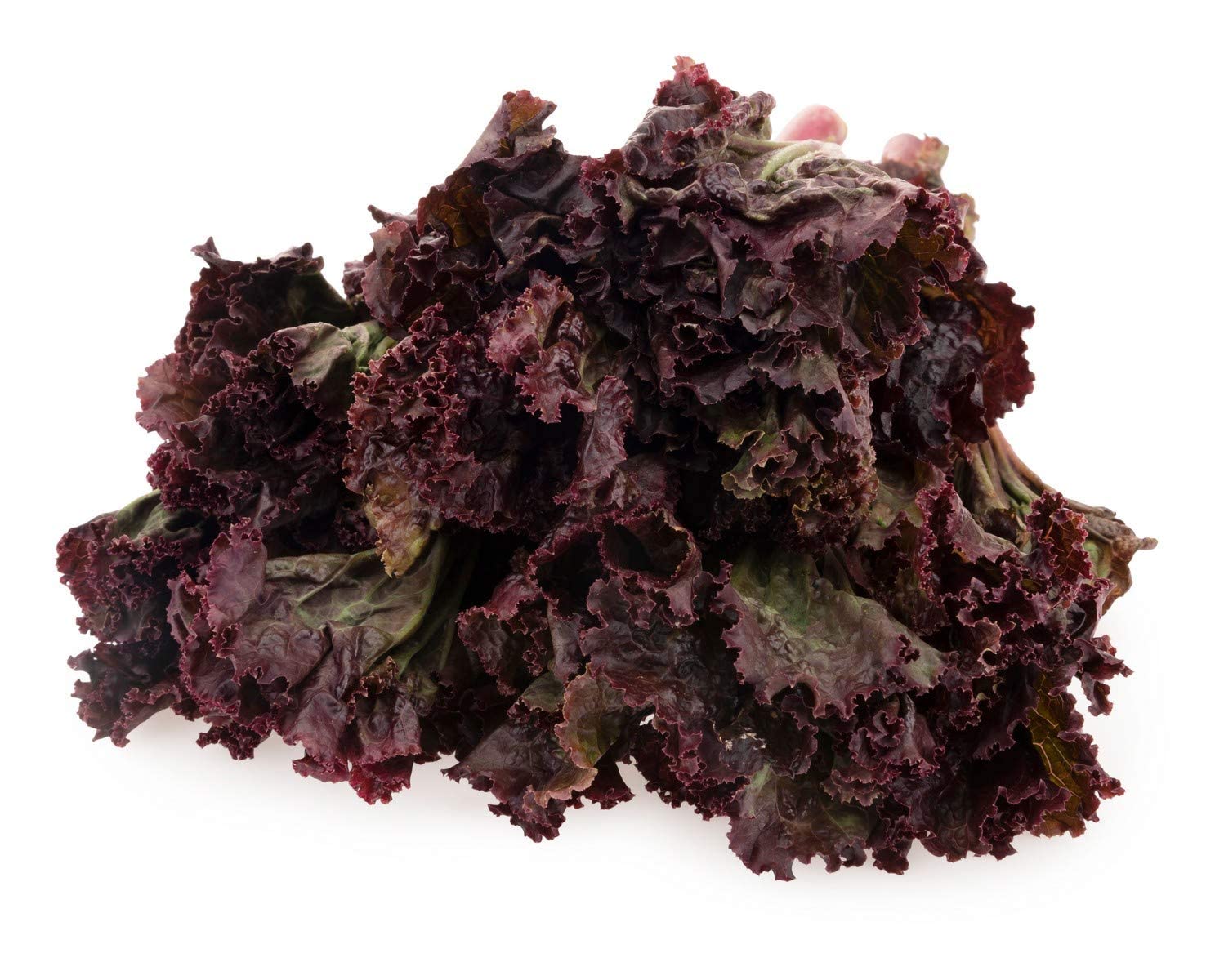 Red Lettuce