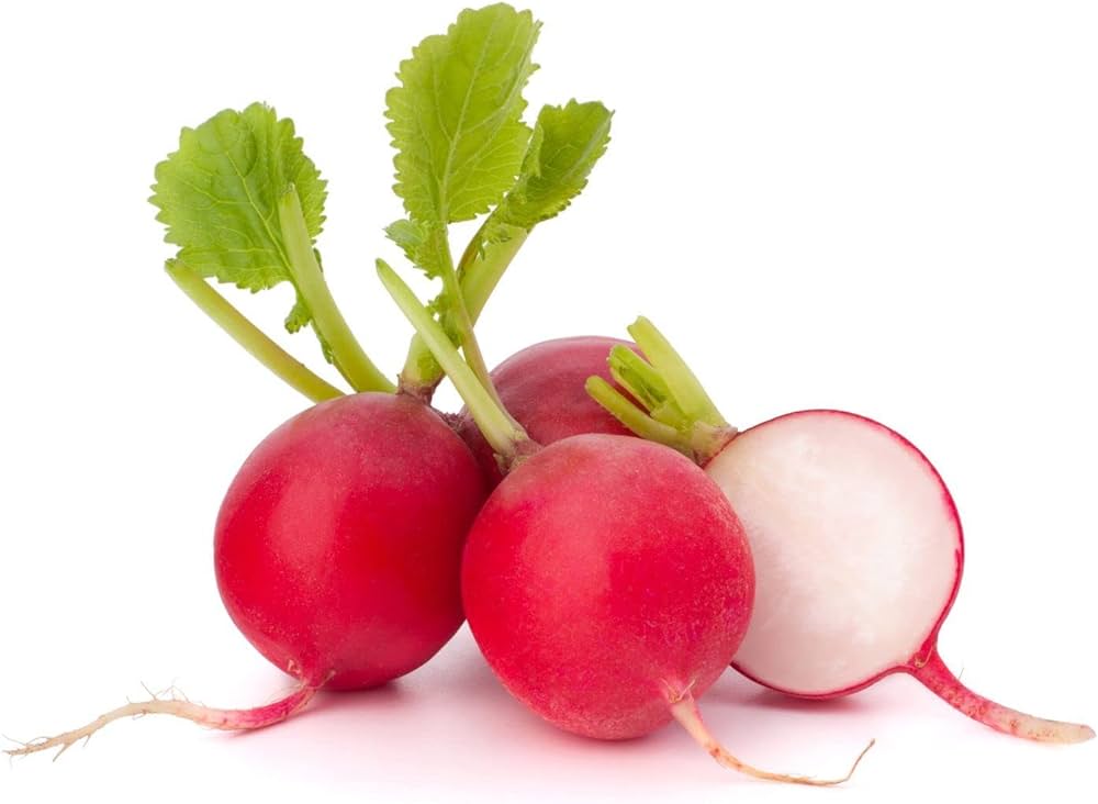 Fresh Radishes