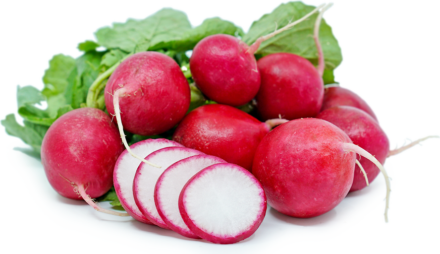 Fresh Radishes