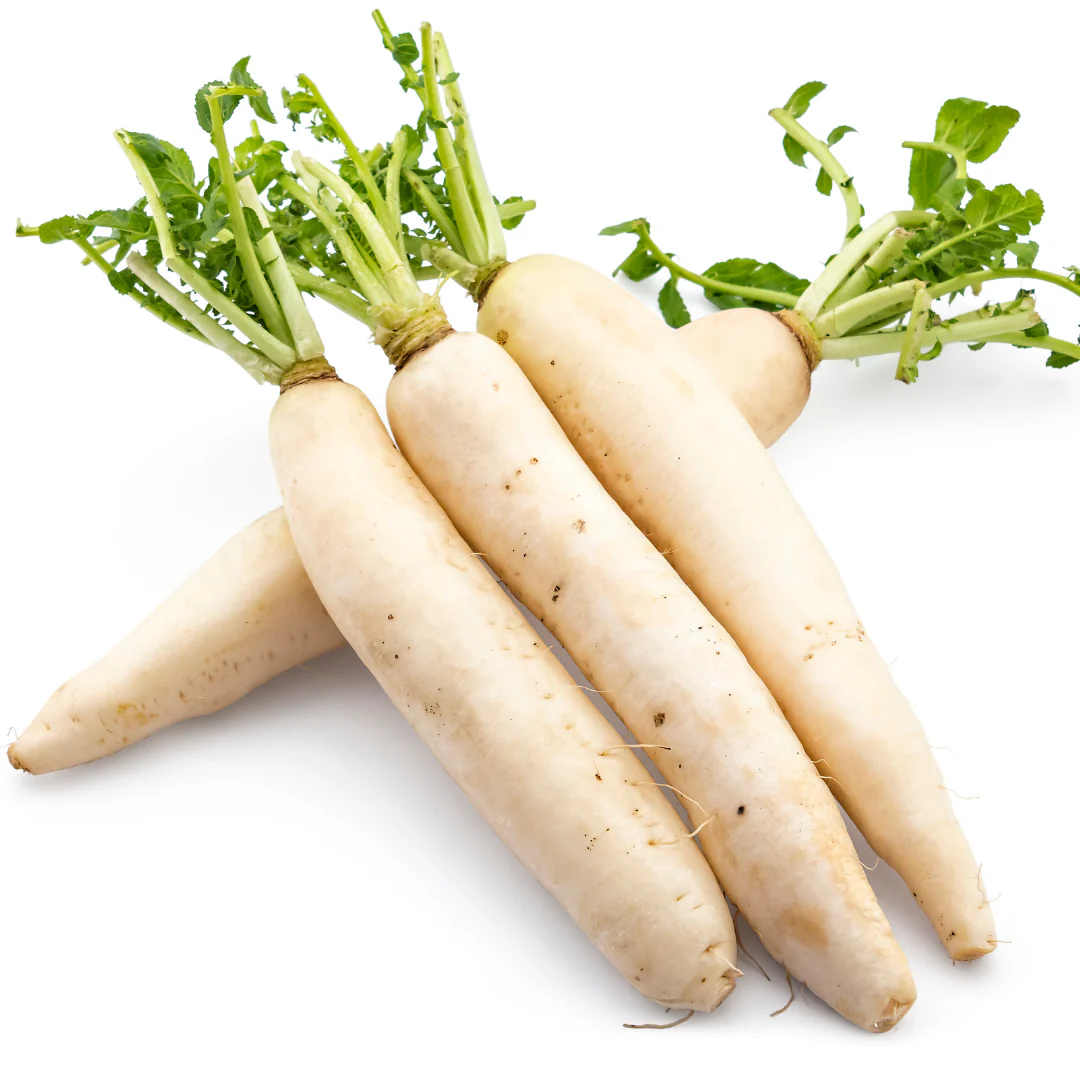 Fresh Daikon White Radishes