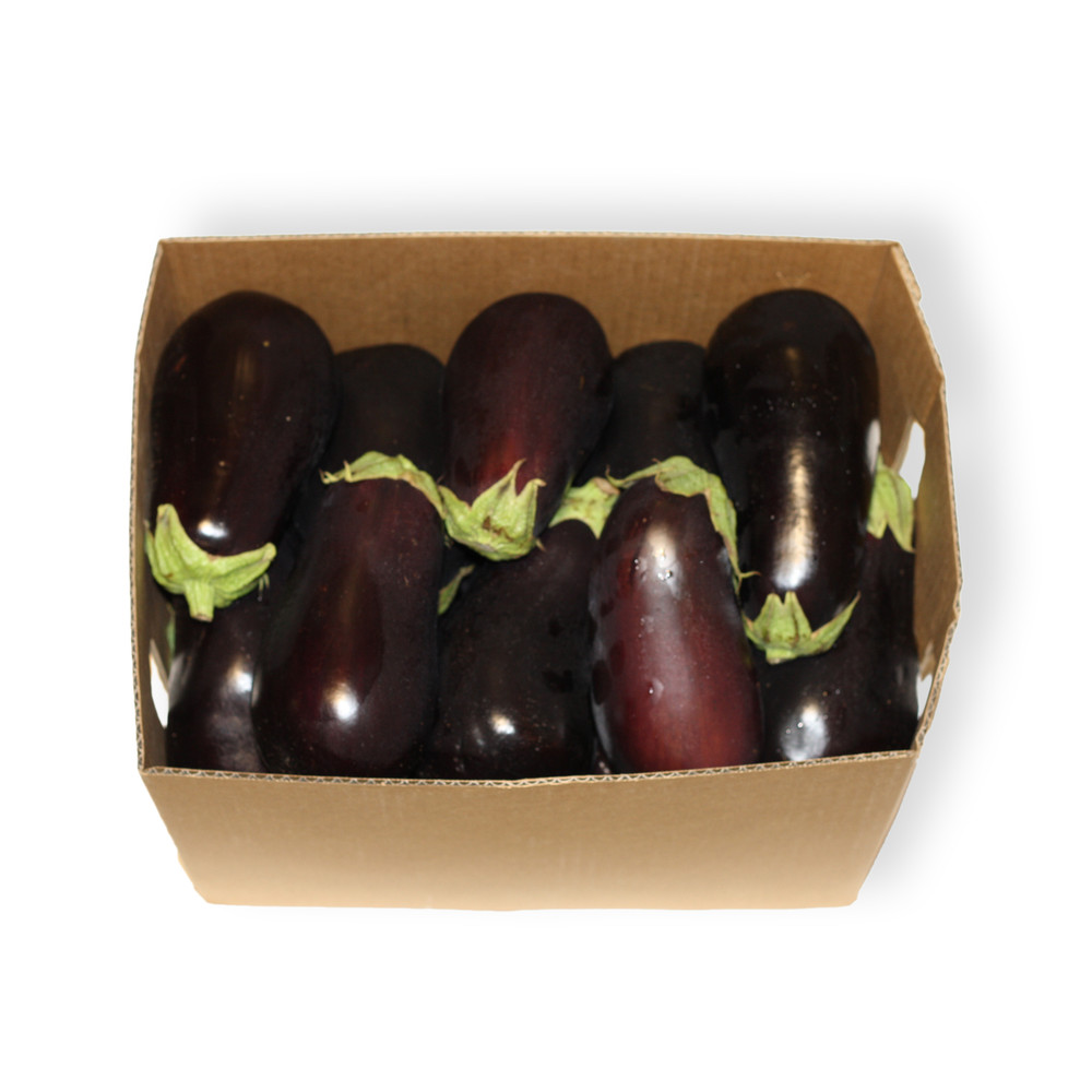 Fresh Eggplants