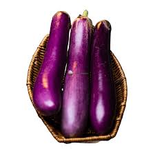 Fresh Long Eggplants