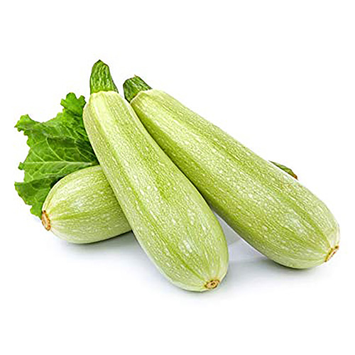Fresh Zucchini