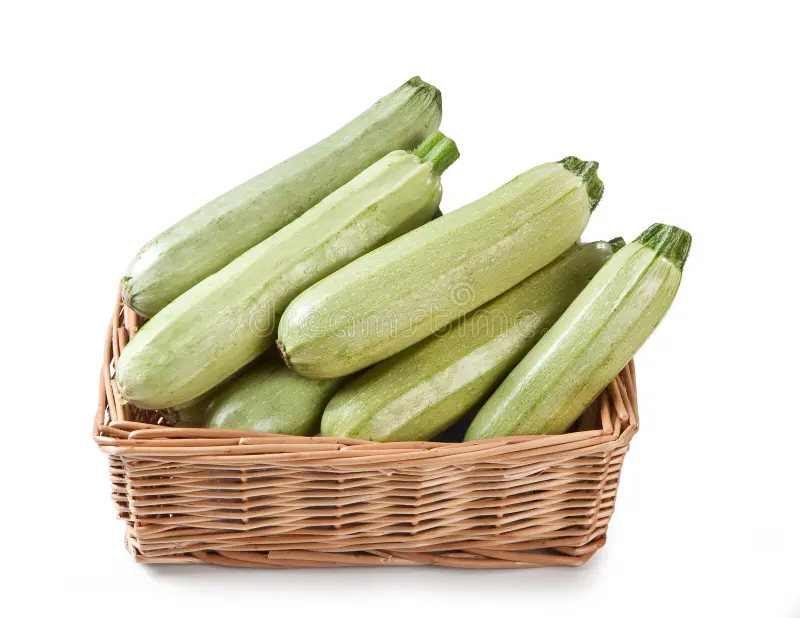 Fresh Zucchini