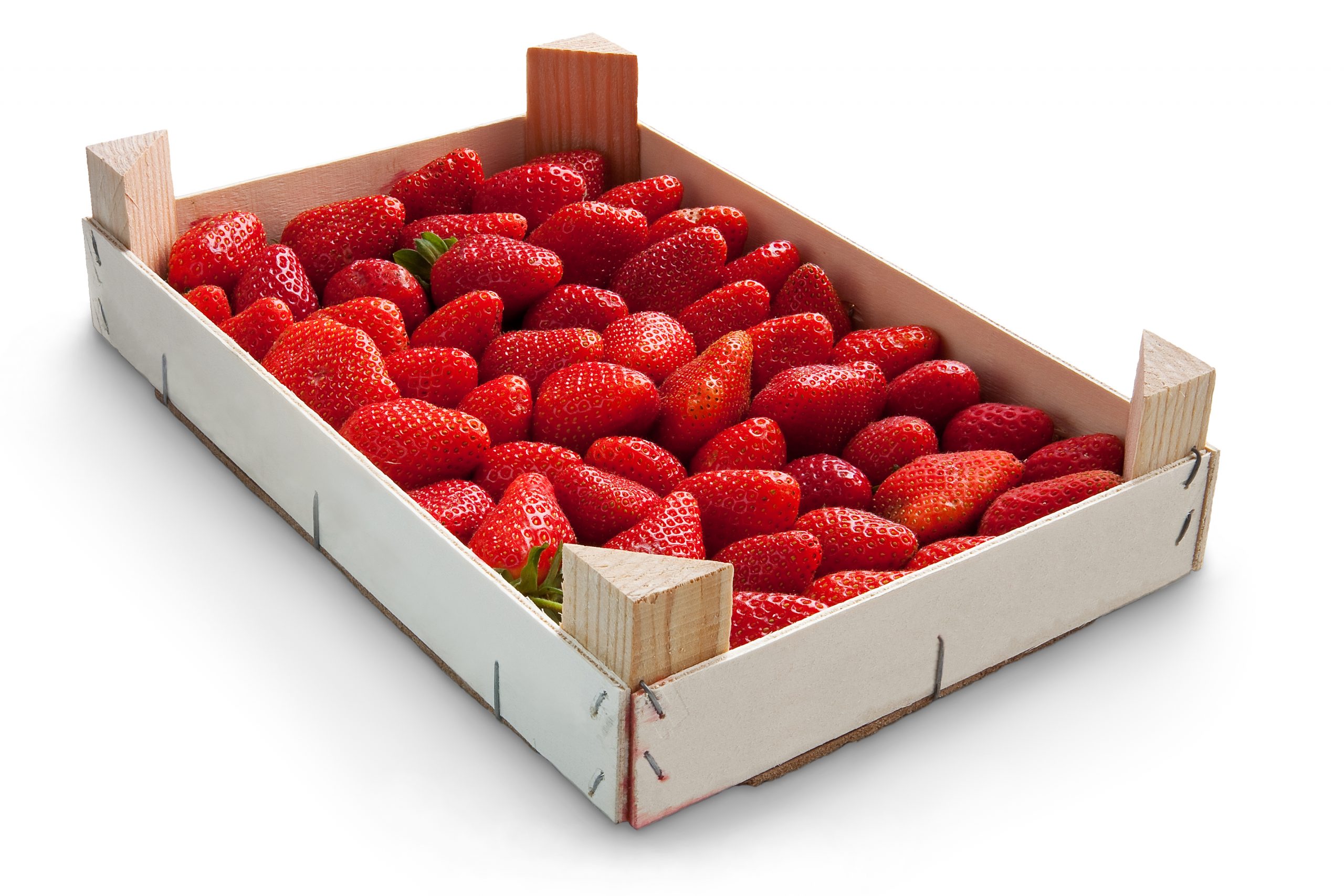 Fresh Strawberries