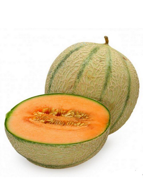Cantaloupe (Musk Melon)