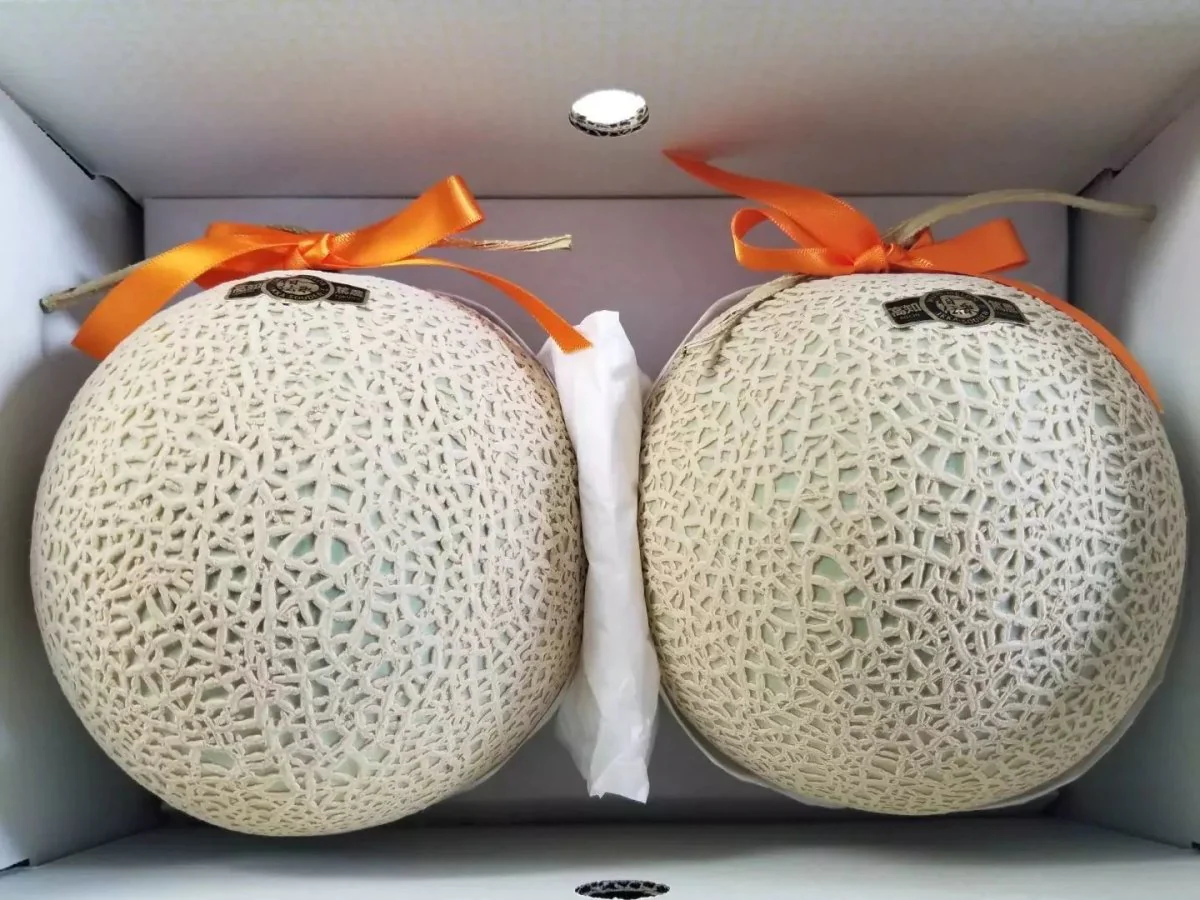 Cantaloupe (Musk Melon)