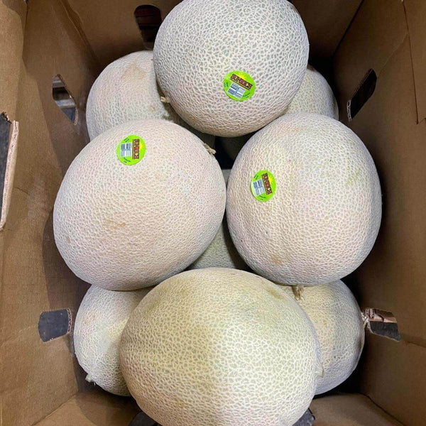 Cantaloupe (Musk Melon)