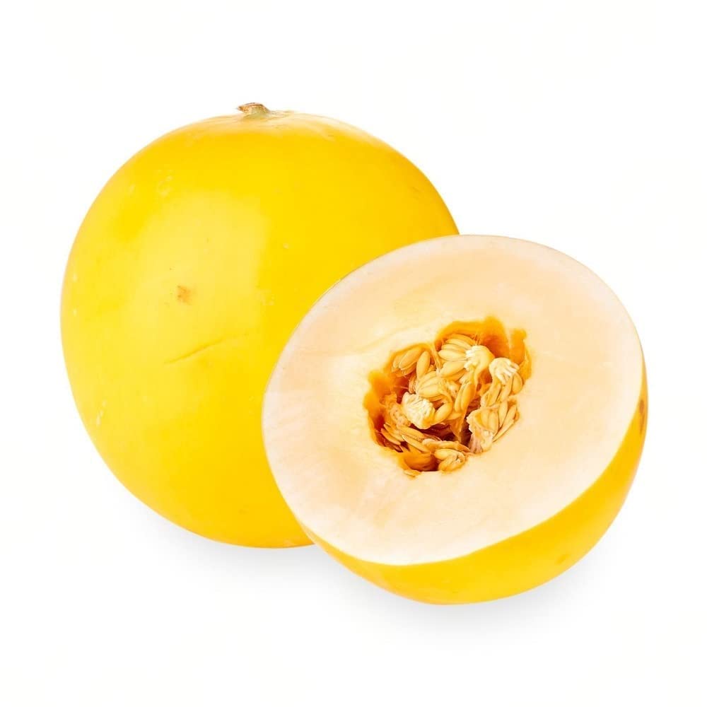 Golden Honeydew (Yellow)  Melon