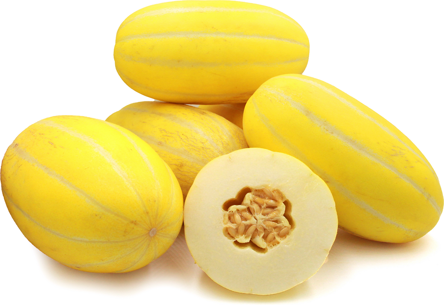 Golden Honeydew (Yellow)  Melon