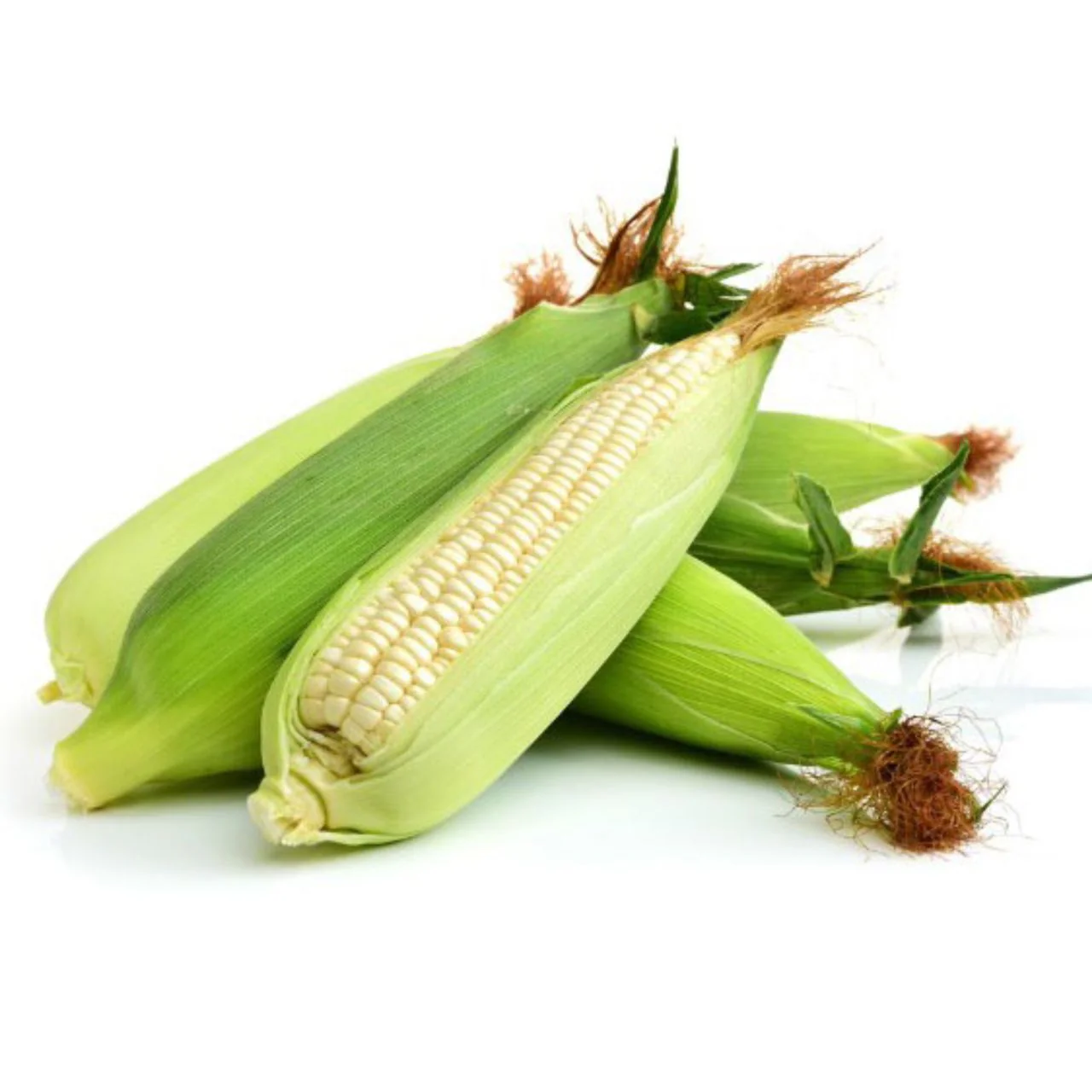 Fresh Sweet Corn 