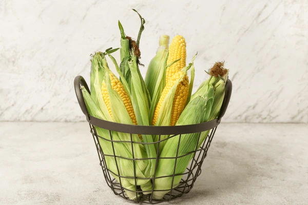 Fresh Sweet Corn 