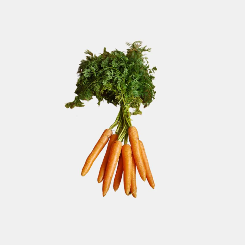 Fresh Carrots