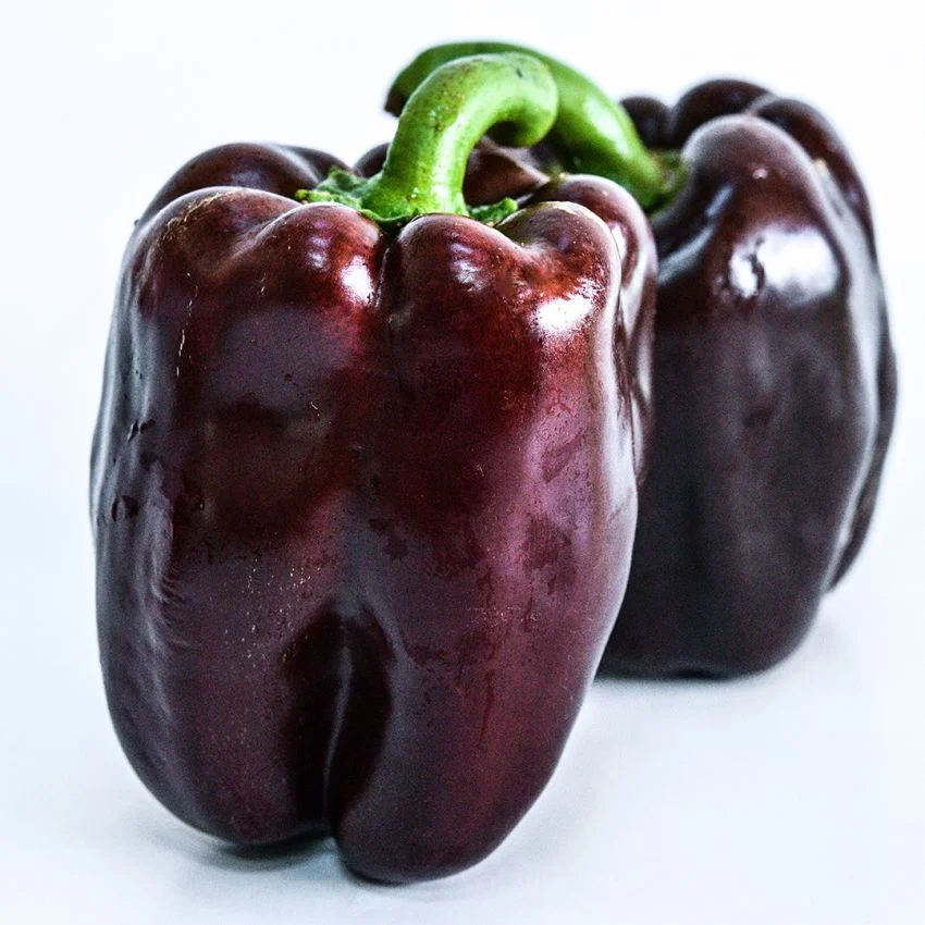 Sweet Chocolate Bell Pepper